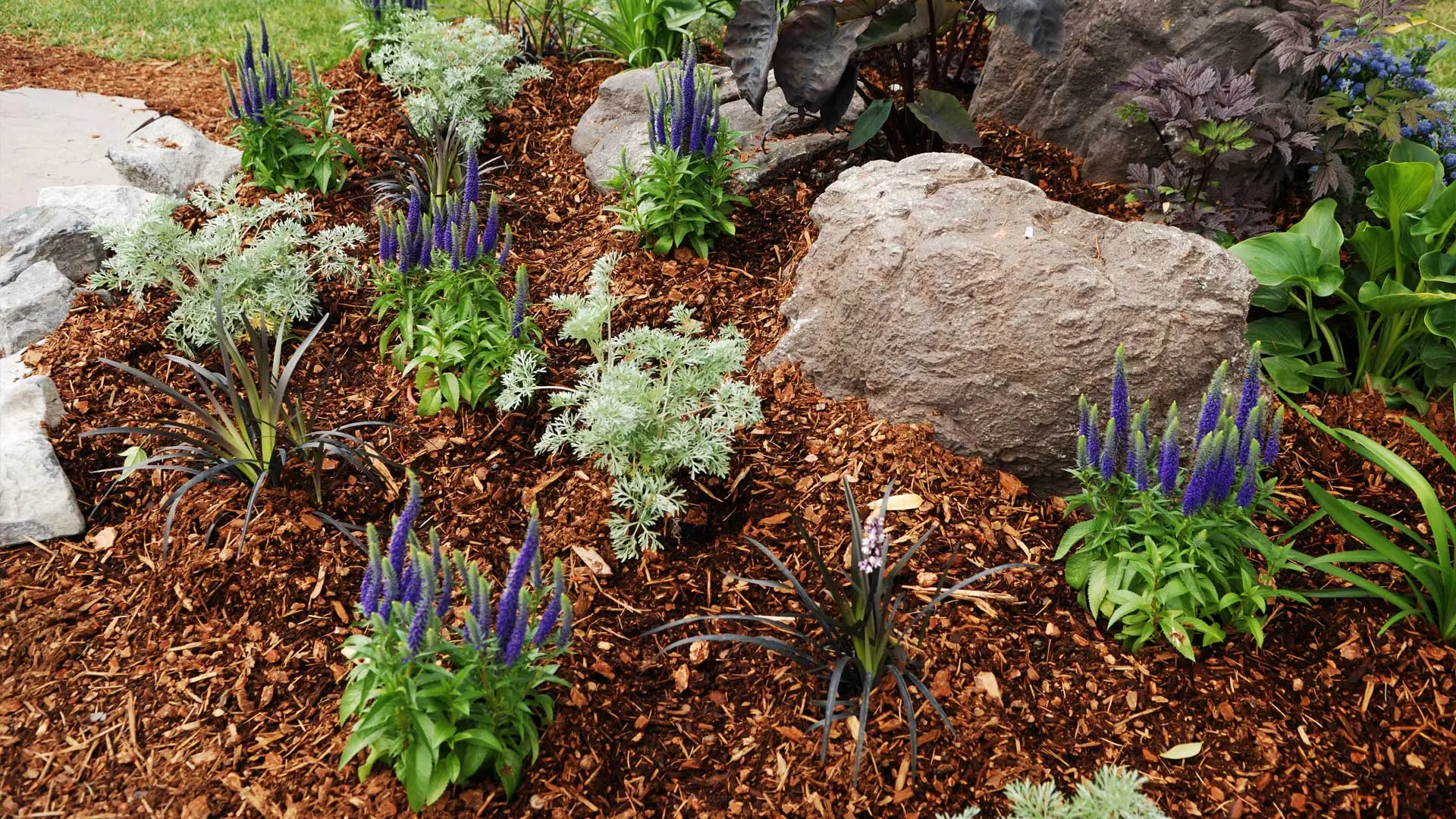 New mulch laid in a landscaping bed.