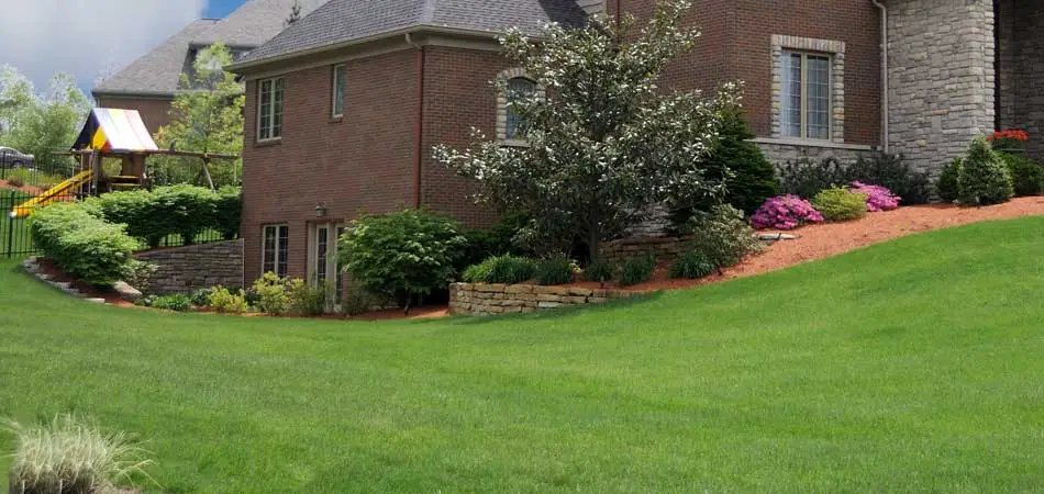 Nicely mowed lawn at a home in Greenville, SC.