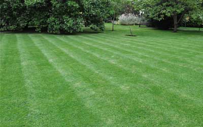 Lawn with stripes in Mauldin, SC, mowed by Upstate Turf Pros.