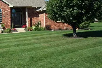 Greenville, SC home with a professionally mowed and maintained lawn.