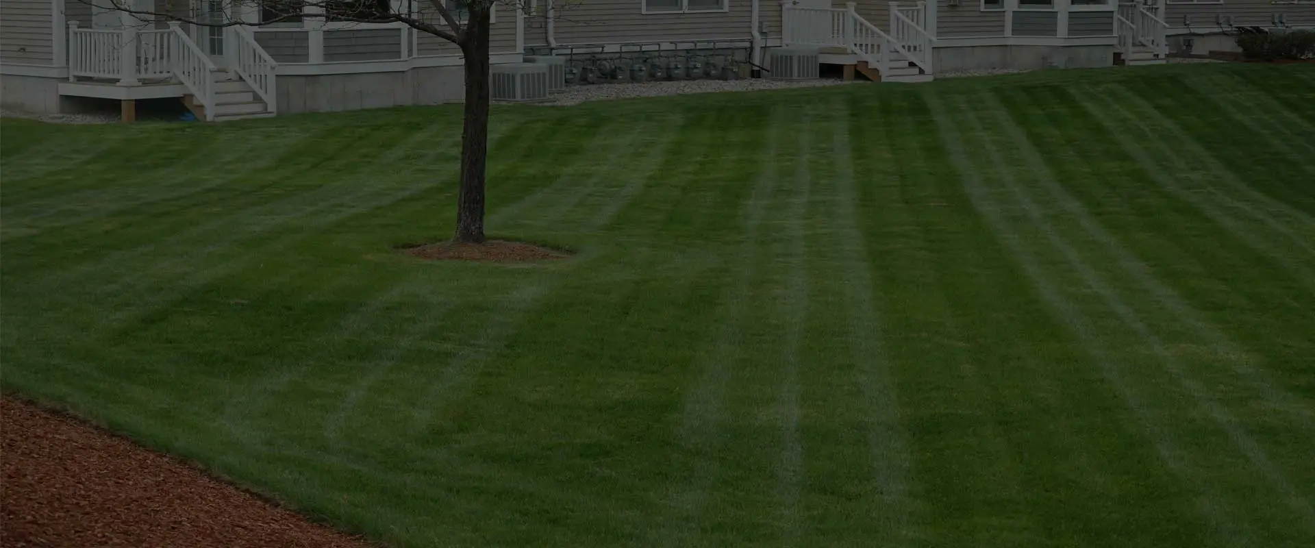 Background showing a perfect lawn after Upstate Turf Pros provided services.