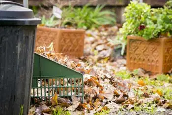 Yard raking, leaf removal, and cleanup services in Greenville, SC.